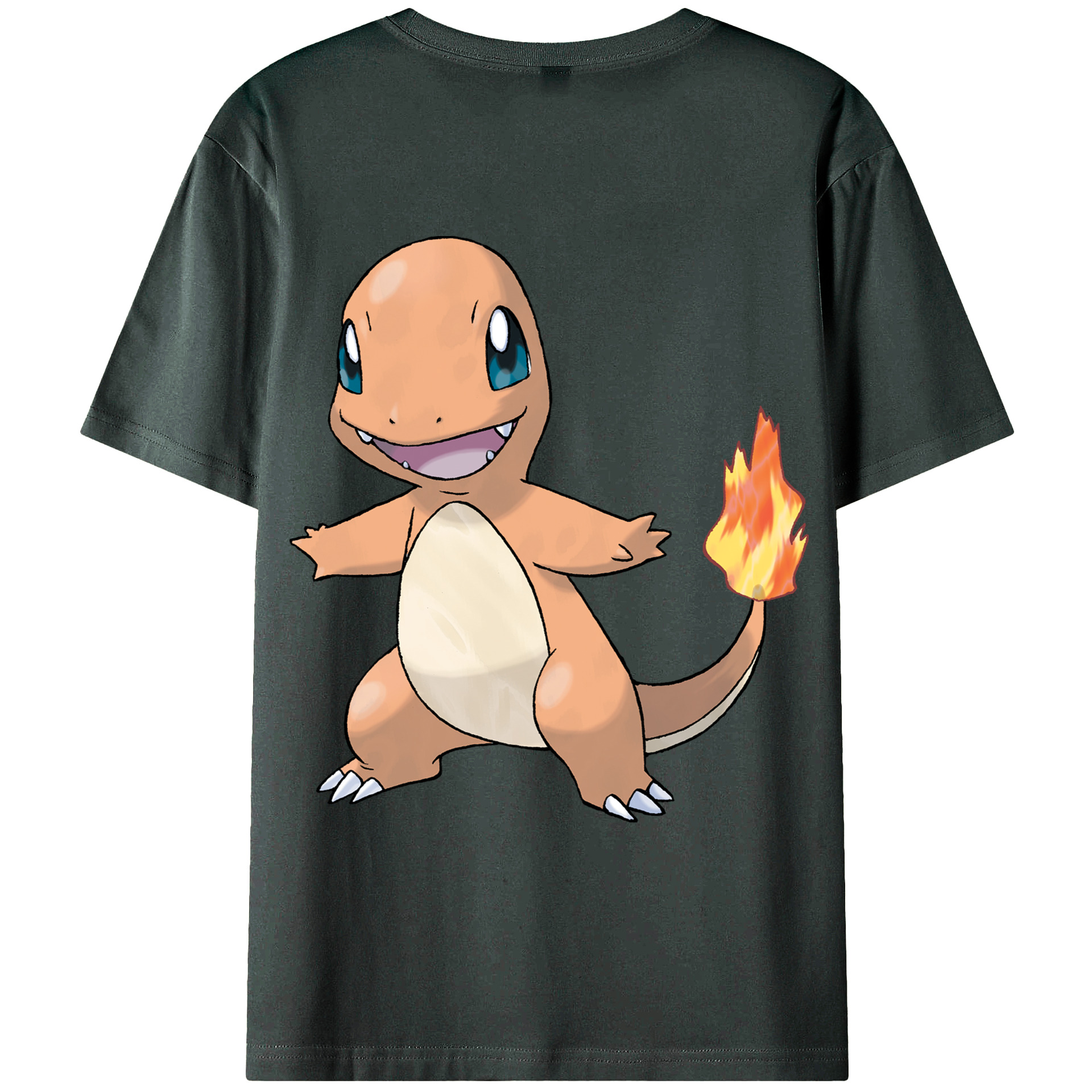 （画像用） ポケットモンスター Pokémon 綿100％ メンズ半袖Tシャツ（バックプリント） 通気性